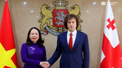Премьер-министр Грузии Ираклий Кобахидзе встретился с вице-президентом Вьетнама Во Тхи Ань Суан