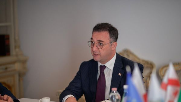  დავით სონღულაშვილი - Sputnik საქართველო