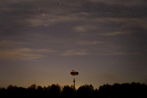 „დაისის შემდეგ", მარეკ იუზვიკი, პოლონეთი. - Sputnik საქართველო