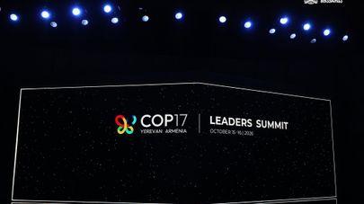 Выступление премьера Грузии на саммите COP17 
