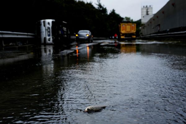 Власти также предупредили о необходимости держаться подальше от русел рек, туннелей и зон, подверженных затоплению. - Sputnik Грузия