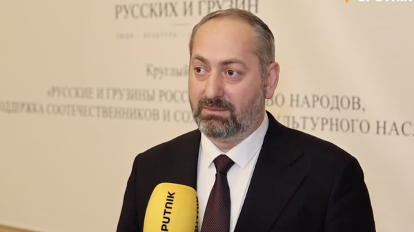 Цецхладзе: России и Грузии нужно создать межправкомиссии для решения накопившихся проблем - Sputnik Грузия