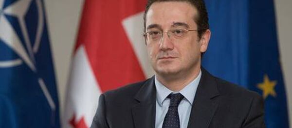 Давид Бакрадзе Давид Бакрадзе - Sputnik Грузия