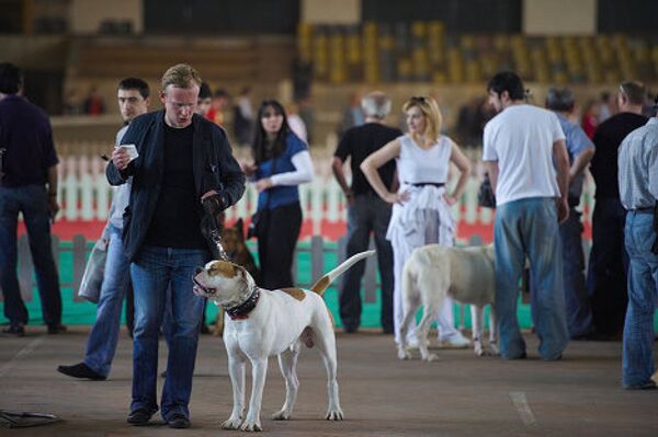 На выставке были участники как из Грузии, так и из других стран, в частности из Азербайджана, России и Украины. На фото - выставка собак, май 2010, Тбилиси. На выставке были участники как из Грузии, так и из других стран, в частности из Азербайджана, России и Украины. На фото - выставка собак, май 2010, Тбилиси. - Sputnik Грузия