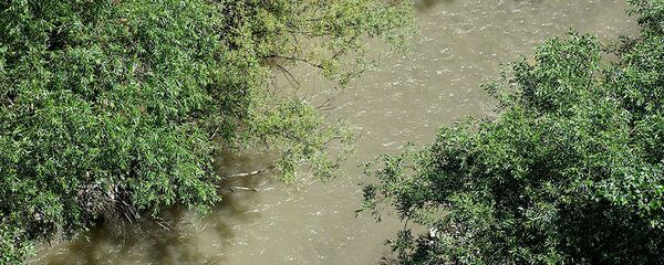 горная река - Sputnik Грузия