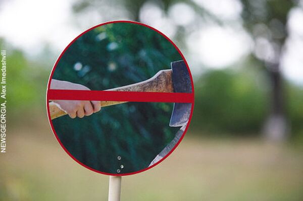 На дорожках лесопарка организаторами акции были размещены специальные предупредительные знаки, запрещающие рубить деревья и строить различные объекты на территории зеленой зоны. - Sputnik Грузия