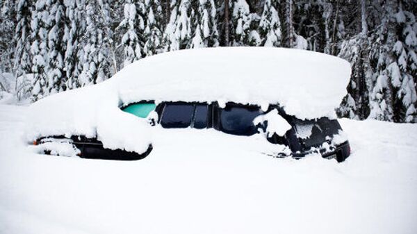 17 февраля двое местных жителей на снегоходах мчались по покрытой метровым слоем снега лесной дороге. Неожиданно они обнаружили автомобиль, выглядевший как гигантский сугроб. Они решили, что кто-то просто оставил в лесу свою старую машину, предназначенную на выброс. Тем не менее, было принято решение «спешиться» и заглянуть внутрь. В салоне что-то шевелилось. - Sputnik Грузия