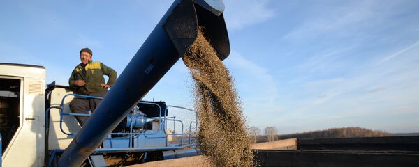 Уборка зерна культурной конопли в Новосибирской области - Sputnik Грузия