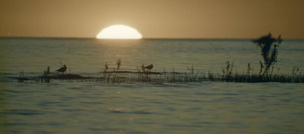 Озеро - Sputnik Грузия