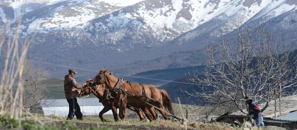 Жизнь молокан в селе Лермонтово - Sputnik Грузия