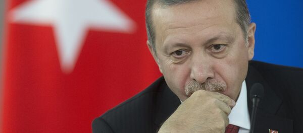 რეჯებ თაიიფ ერდოღანი - Sputnik საქართველო