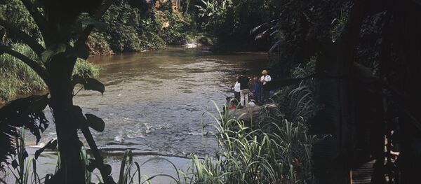 Уголок в джунглях Республики Конго - Sputnik Грузия