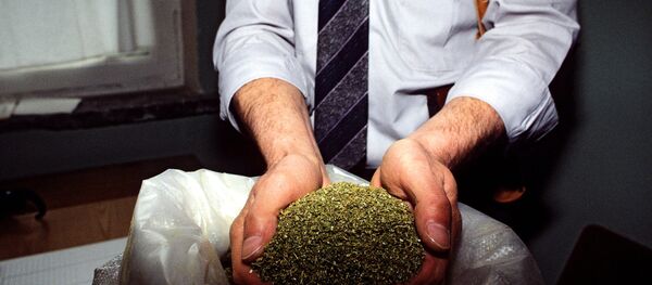 მარიხუანა - Sputnik საქართველო