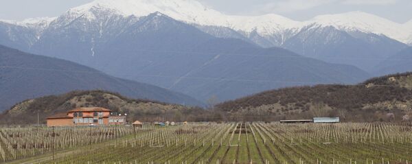 კახეთი - ქართული ღვინის სამშობლო კახეთი - ქართული ღვინის სამშობლო - Sputnik საქართველო