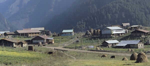 სოფელი კახეთში სოფელი კახეთში - Sputnik საქართველო