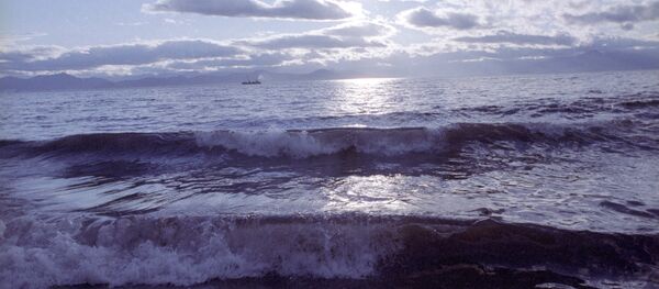 ოკეანე ოკეანე - Sputnik საქართველო