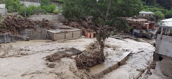 ძაღლების თავშესაფარი ძაღლების თავშესაფარი - Sputnik საქართველო