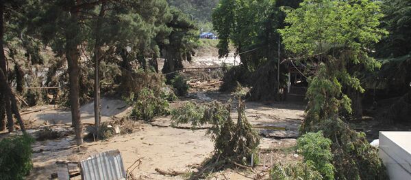 Тбилисский зоопарк после наводнения - Sputnik Грузия