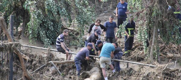 Тбилисский зоопарк после наводнения - Sputnik Грузия