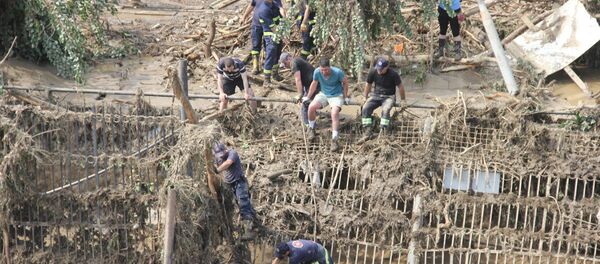 Тбилисский зоопарк после наводнения - Sputnik Грузия