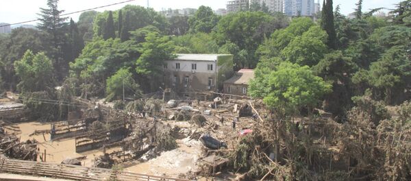 Тбилисский зоопарк после наводнения - Sputnik Грузия