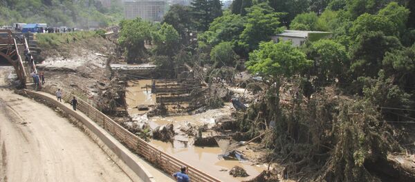 Тбилисский зоопарк после наводнения - Sputnik Грузия