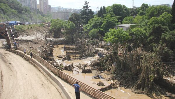 Тбилисский зоопарк после наводнения - Sputnik Грузия