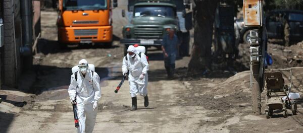 В зонах стихийного бедствия в Тбилиси провели дезинфекцию - Sputnik Грузия