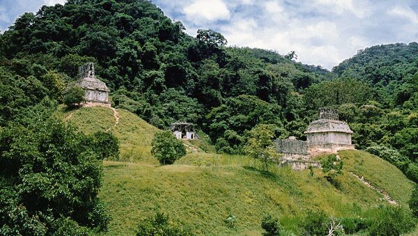 Остатки древнего города индейцев майя в Мексике - Sputnik Грузия