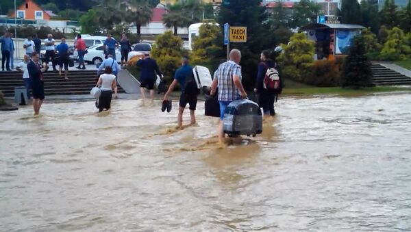 Пассажиры по колено в воде несли багаж из затопленного аэропорта Сочи - Sputnik Грузия