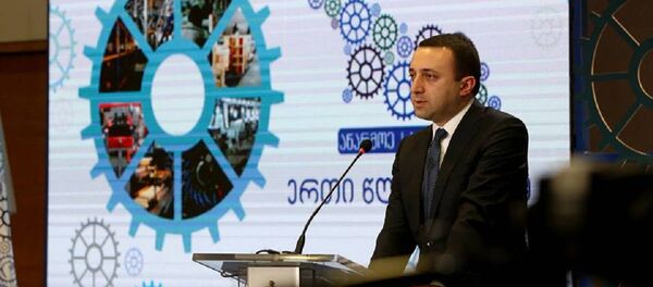 Ираклий Гарибашвили, программа Производи в Грузии - Sputnik Грузия