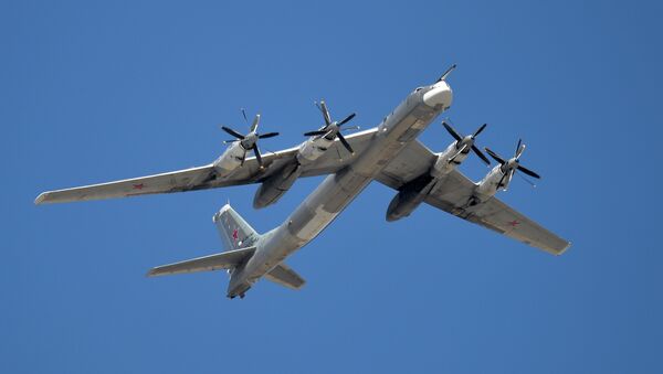 Стратегический бомбардировщик Ту-95. - Sputnik Грузия