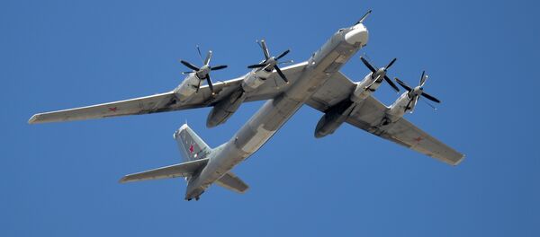 Стратегический бомбардировщик Ту-95.  - Sputnik Грузия