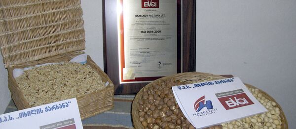 თხილის მწარმოებელი ქარხანა თბილისში თხილის მწარმოებელი ქარხანა თბილისში - Sputnik საქართველო