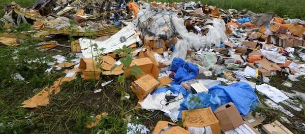 Поисковые работы на месте крушения малайзийского лайнера Boeing 777 в районе Шахтерска - Sputnik Грузия