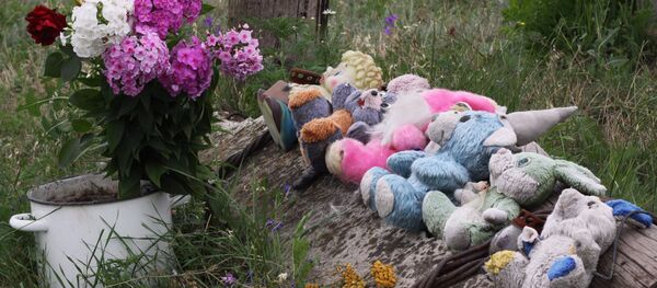 Место крушения Boeing 777 малайзийских авиалиний - Sputnik Грузия