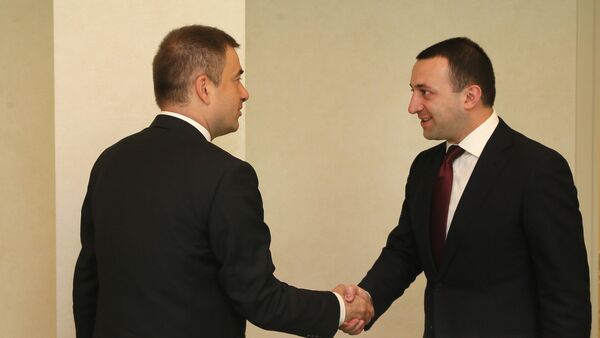 Гарибашвили встретился с новым представителем Совета Европы в Грузии - Sputnik Грузия