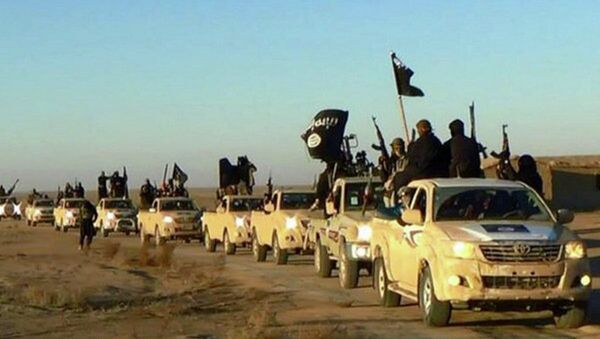 Колонна автомобилей с боевиками Исламского государства на пути из Сирии в Ирак. Архивное фото - Sputnik Грузия