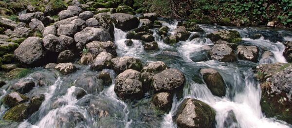 მთის მდინარე - Sputnik საქართველო