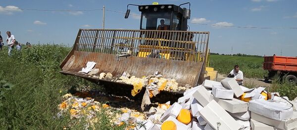 Экскаватор против еды: как уничтожили девять тонн сыра под Белгородом - Sputnik Грузия
