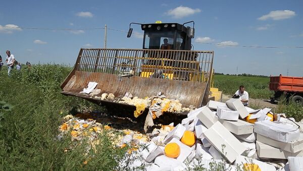 Экскаватор против еды: как уничтожили девять тонн сыра под Белгородом - Sputnik Грузия