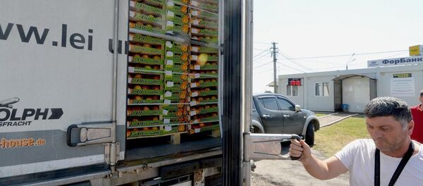 Уничтожение санкционной продукции - Sputnik Грузия