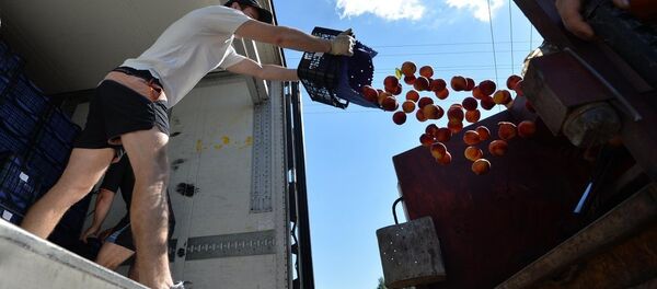 Уничтожение санкционной продукции Уничтожение санкционной продукции - Sputnik Грузия