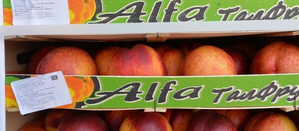 სანქცირებული პროდუქციის განადგურება - Sputnik საქართველო