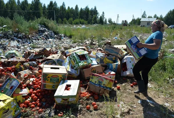 Ликвидация изъятых продуктов производится вне зависимости от того, установлено или нет, кому они принадлежат или кто организовал их провоз. - Sputnik Грузия