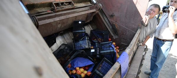 Бульдозером по продуктам: тонны еды уничтожили на границе с Россией - Sputnik Грузия