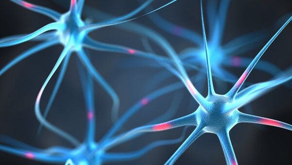 Нейроны в головном мозге человека - Sputnik Грузия