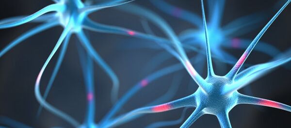 Нейроны в головном мозге человека - Sputnik Грузия