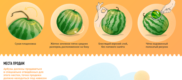 Правила выбора вкусного арбуза - Sputnik Грузия