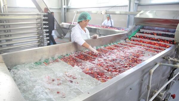 Завод по переработке фруктов в Кеда (Аджария) - Sputnik Грузия